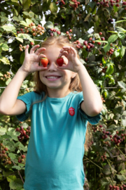 Jubel t-shirt groen Berry nice