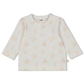 Feetje longsleeve aop little duck