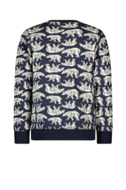 Tygo & Vito sweater aop icebear