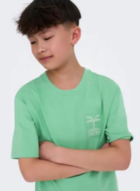 Only & Sons SUMMER Life printed tee breeze