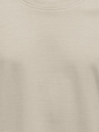 Only & Sons Fred short sleeves silver lining