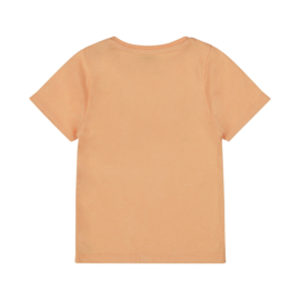 Dirkje t-shirt bright orange