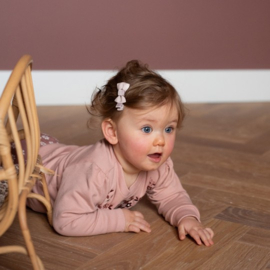 Dirkje sweater Misty Rose