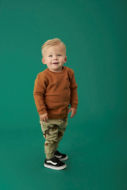 Feetje sweater bruin He Ho Dino