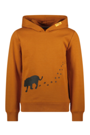 Tygo & Vito boys Hoody Hero