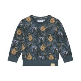 Dirkje sweater steel blue