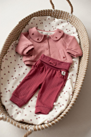 Feetje broek berry Ladybug