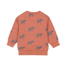 Dirkje sweater with crewneck rust