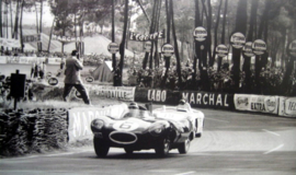 Mike Hawthorn driving the D Type Jaguar at the 1955 Le Mans (Winner)