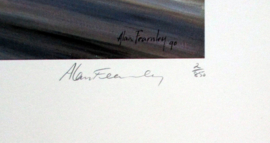 Lotus 49 #5 Jim Clark Winner Dutch Grand Prix 1967