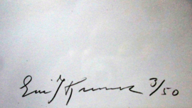 Red Bull Racing Max Verstappen 2002 Zandvoort