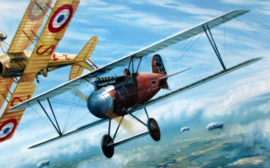 "Ernst Udet and Georges Guynemer " Albatros DIII/Spad VII - Epic Duel on WW 1
