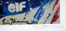 Williams - Ayrton Senna - 30th anniversary