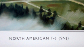 North American T-6 (SNJ) - Barin Air Base