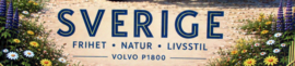 Volvo 1800S Sverige