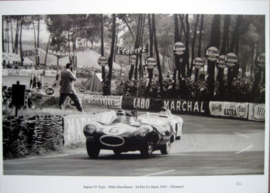 Mike Hawthorn driving the D Type Jaguar at the 1955 Le Mans (Winner)