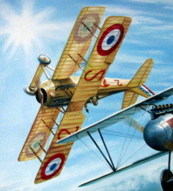 "Ernst Udet and Georges Guynemer " Albatros DIII/Spad VII - Epic Duel on WW 1