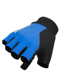 Q36.5 Summer Glove Blue - Maat L