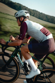 Bioracer Icon Bibshort Mauve