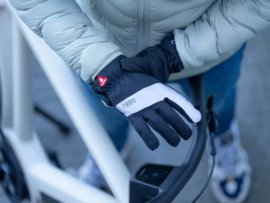 BBB Subzero Full Fingers Winter Gloves