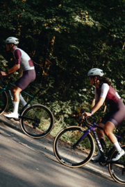 Bioracer Icon Bibshort Mauve
