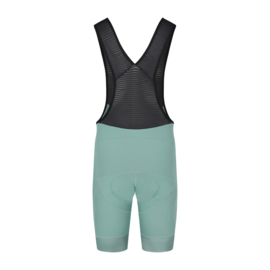 Bioracer Icon Bibshort Evergreen