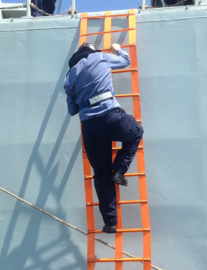 Emergency Ladder