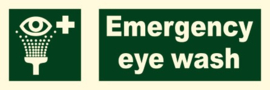 Emergency eye wash