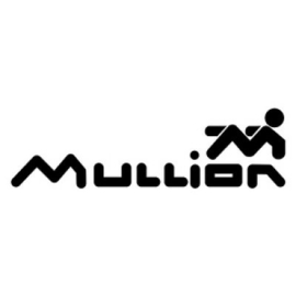 Mullion