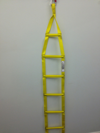 Escape ladder