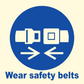 Wear safety belts