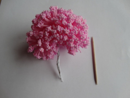 Bloemen foam met bollentjes roze