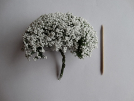 Bloemen takjes met bolletjes Wit.