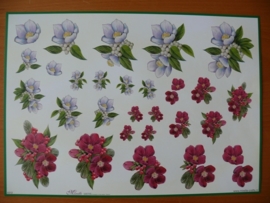 3d knipvel Bloemen Mireille X 312