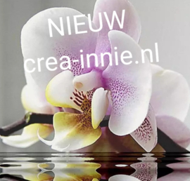 DIAMOND PAINTING ORCHIDEE IN WATER VIERKANTE STEENTJES