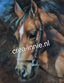 paardenhoofd met tuig