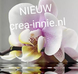 DIAMOND PAINTING orchideeën in water ronde steentjes