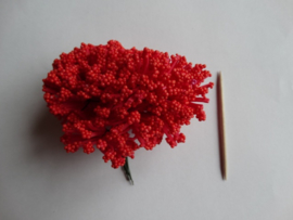 Bloemen foam met bollentjes rood