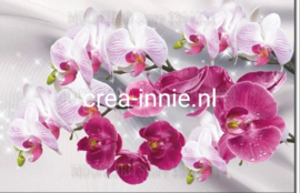 DIAMOND PAINTING orchidee 2 takken
