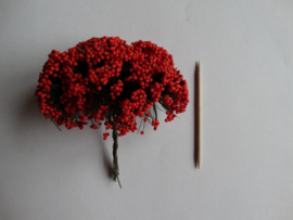 Bloemen takjes met bollentjes Rood