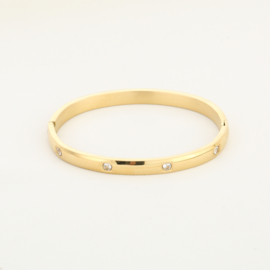 Bangle met strass  steentje's (RVS)