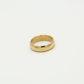 Ring basic goud RVS