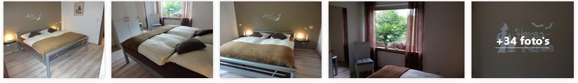 andernach-vakantiehuis-antel-eifel-2019.png