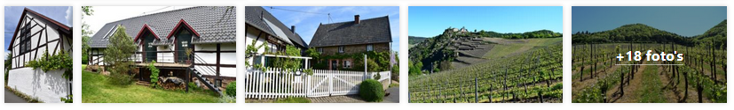antweiler-vakantiewoning-aremberg-eifel-2019.png
