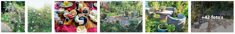 blankenheim-appartement-willrich-eifel-2019.png