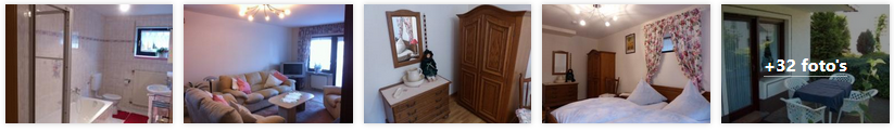 daun-appartement-eifelluft-eifel-2019.png