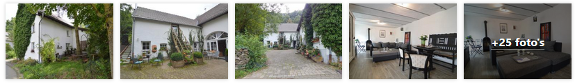 immerath-appartement-rosenherz-eifel-2019.png