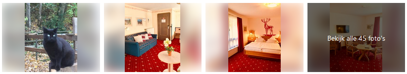 prum-banner-wenzelbach-eifel-2019.png