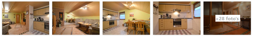 ulmen-banner-appartement-helga-1-eifel-2019.png