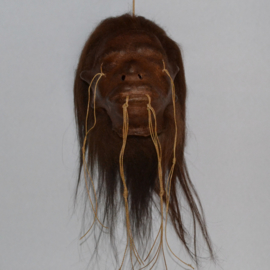 Shrunken Head